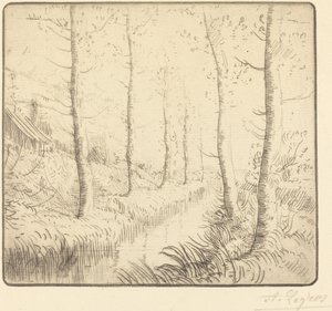 Břízy podél vody od Alphonse Legros