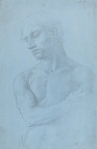 Busta nahého muže. od Alphonse Legros