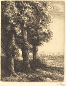 Roh lesa (Coin d