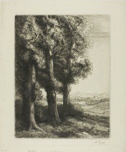 Hrana dřeva od Alphonse Legros