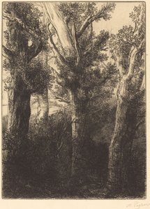 Německý les, Downley od Alphonse Legros