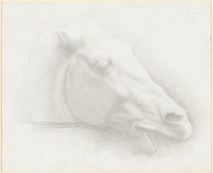 Hlava koně z Parthenonu od Alphonse Legros