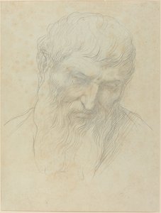 Hlava muže s kudrnatými vlasy a vousy od Alphonse Legros