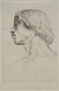 Hlava modelky. od Alphonse Legros