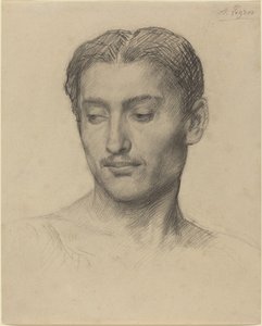 Hlava mladého muže. od Alphonse Legros