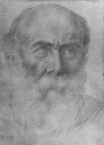 Hlava muže (zlatý bod na papíře) od Alphonse Legros