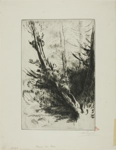 V lese od Alphonse Legros