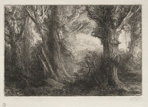 V lese v Conteville. od Alphonse Legros