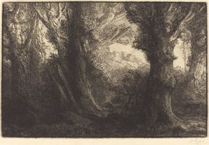 V lese Conteville (Dans la foret de Conteville) od Alphonse Legros