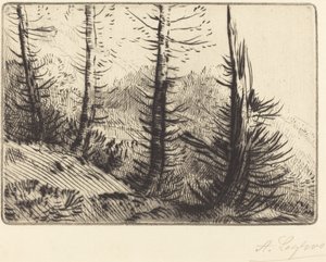 V Pyrenejích V Pyrenejích. od Alphonse Legros