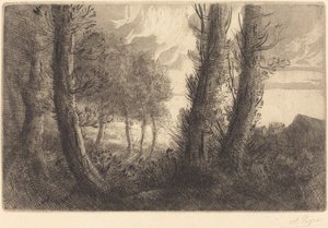 Krajina od Alphonse Legros
