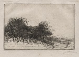Krajina od Alphonse Legros