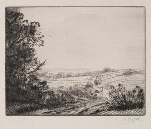 Krajina od Alphonse Legros