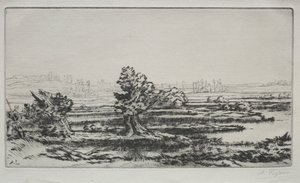 Krajina od Alphonse Legros