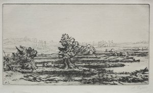 Krajina. od Alphonse Legros
