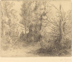 Krajina: Blízko Chailleux od Alphonse Legros