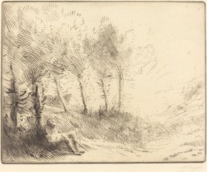 Krajina Krajina. od Alphonse Legros