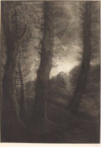 Velké stromy viděné proti slunci Velké stromy: Večerní efekt. od Alphonse Legros