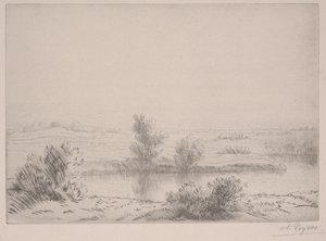The Swamps (lept) od Alphonse Legros