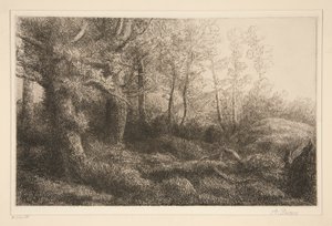 okraj lesa od Alphonse Legros