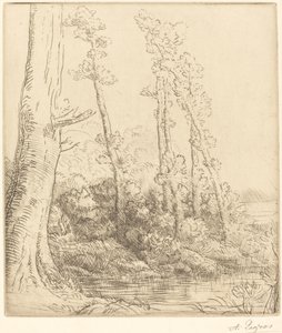 Little Pond La petite mare. od Alphonse Legros