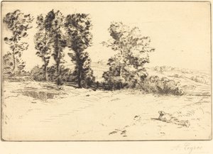 Louka v Sunshine Le pre ensoleille. od Alphonse Legros