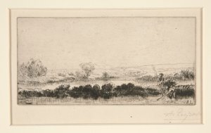Krajina Tourbieres: V bažinách od Alphonse Legros