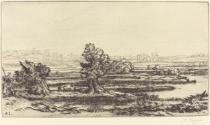 Rašeliniště Les Tourbieres. od Alphonse Legros