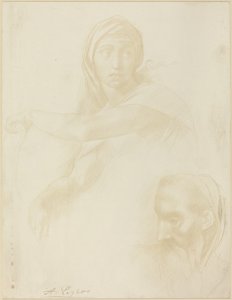 Studie delfské Sibyly, hlavy muže. od Alphonse Legros