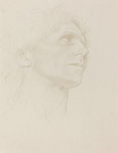 Studie ženské hlavy, otočená doprava od Alphonse Legros