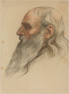 Studie mužské hlavy s plnovousem. od Alphonse Legros