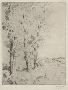 Čtenář: Přednáška pod stromy, c. 1882. od Alphonse Legros