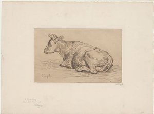 Ležící kráva od Alphonse Stengelin (signed by artist)