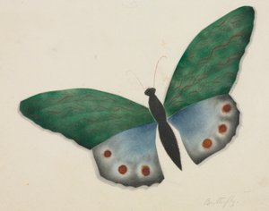Motýl (akvarel)