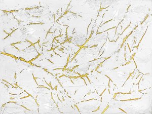 Zlatá organická struktura od Alyson Storms