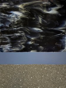 Vír půlnočního lesku od Alyson Storms