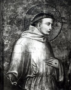 Svatý František od Ambrogio Lorenzetti