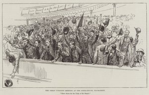 Velké setkání unionistů v Opera-House, Haymarket