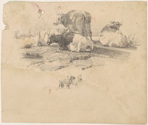 Stáda skotu od American 19th Century