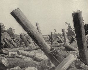 Log Jam v St Croix River, Wisconsin (černobílá fotografie) od American Photographer (after)