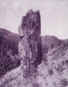 Zkamenělý strom ve špatných zemích Dakoty (černobílá fotografie) od American Photographer (after)