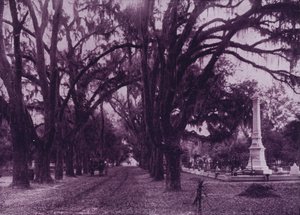 Bonaventure Cemetery, Savannah, Georgia (č/b fotografie) od American Photographer (after)