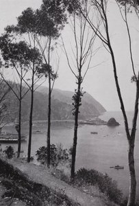 Kalifornie: Avalonský záliv, ostrov Santa Catalina, kouzelná země hrou v Tichém oceánu, 30 mil od pevniny jižní Kalifornie (čb fotografie) od American Photographer (after)