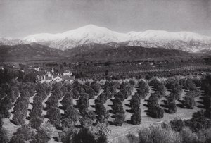 Kalifornie: Redlands, od Smiley Heights, slunce, pomerančové háje a zasněžené vrcholky (čb foto) od American Photographer (after)