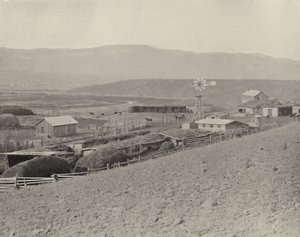 Montana Horse Ranch (černobílá fotografie) od American Photographer (after)