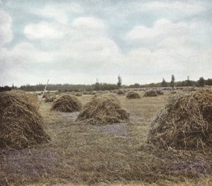 Oregon: Alfalfa (foto) od American Photographer (after)