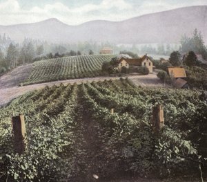 Oregon: Diverzifikované zemědělství ve Willamette Valley (foto) od American Photographer (after)