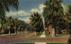 Phoenix, Arizona: North Central Avenue (foto) od American Photographer (after)