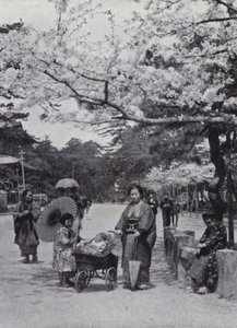 Pod třešňovým květem v Shiba Park, Tokio (č/b foto) od American Photographer (after)