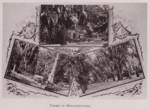 Pohledy v Bonaventure (černobílá fotografie) od American Photographer (after)